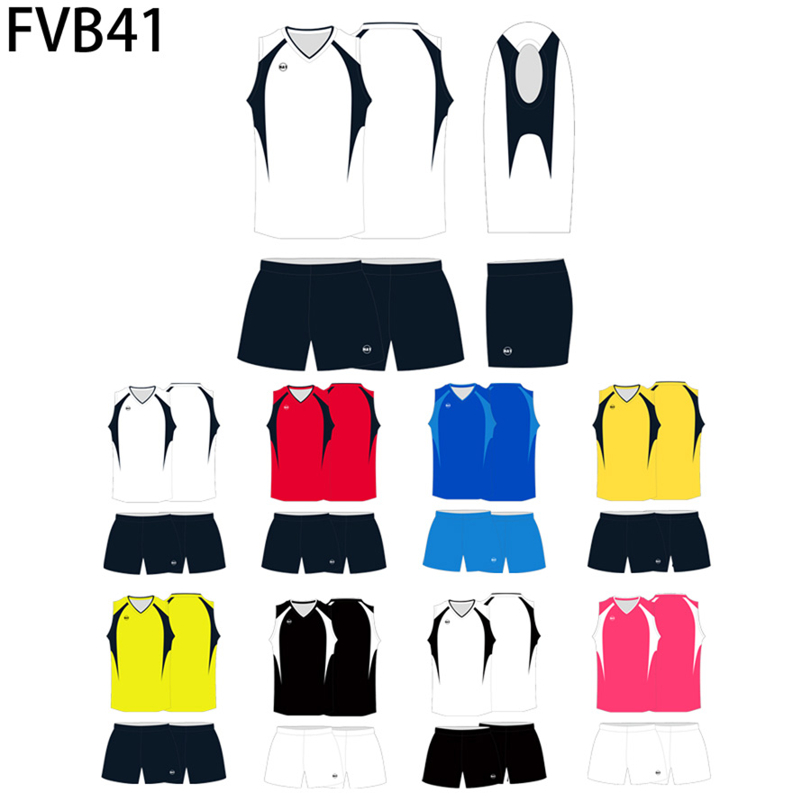 FVB41 9
